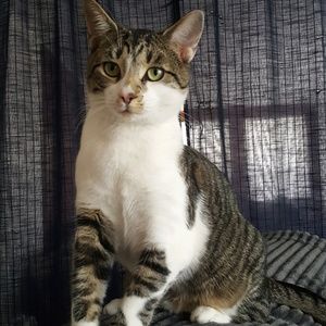 Meet your Posher, Lisa